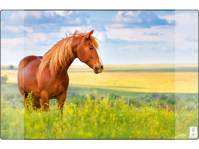 Bureauonderlegger Kangaro PP 38x58cm paard