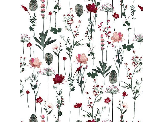 Toonbankrol Kangaro Papier Natur Weiß 80 Gramm 50 cm Breite 200 Meter