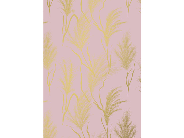 Toonbankrol Kangaro papier roze/goud 80 gram 50 cm ras 200 meter