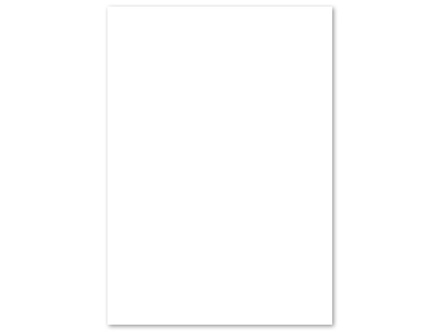 PaperWise Kopierpapier A4 mit 80 Gramm Karton à 5 Pak