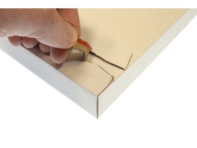 Brievenbusdoos Raadhuis wit EG 255x160x28mm krimp a 25 stuks