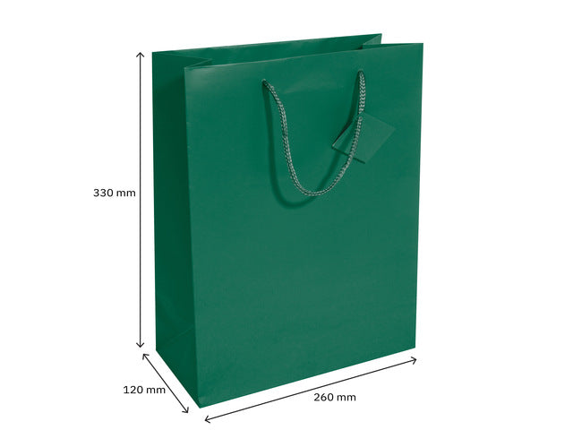 Cadeautas Sigel groot, opaal groen