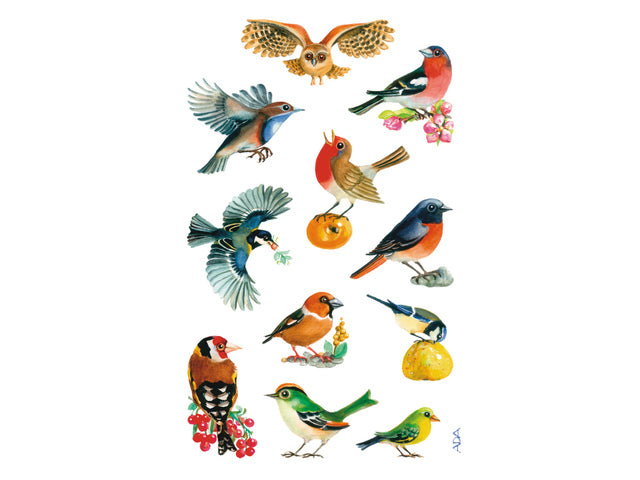 papieretiket Z-design Creative pakket a 3 vel vogels