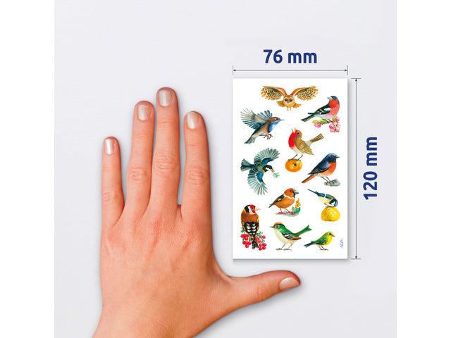 papieretiket Z-design Creative pakket a 3 vel vogels