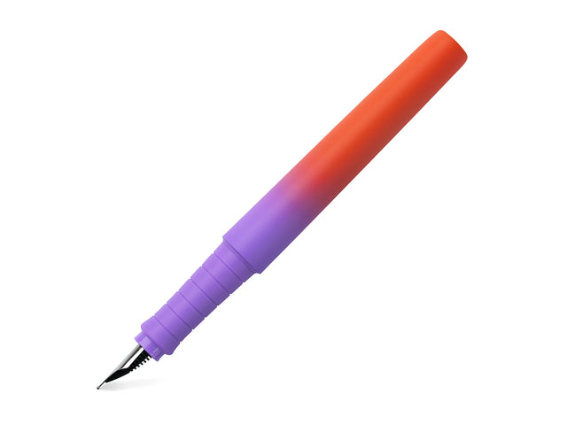 FC-241019
