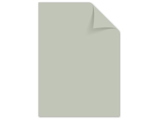 Papier Kangaro A4 120 Gramm Pastell sortiert pak a 100 Vel
