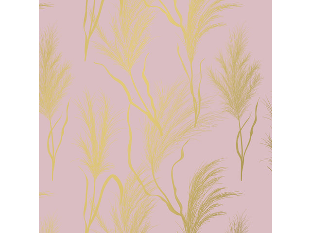 Toonbankrol Kangaro papier roze/goud 80 gram 50 cm ras 200 meter