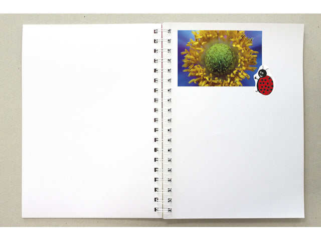 Poster Kangaro A5+ 120 Gramm, 40 Vel, blau, 25 x 18 cm, Papier (25 x 19 cm mit Spirale)