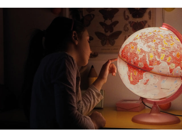 Wereldbol denkbeeldig 30 cm met verlichting