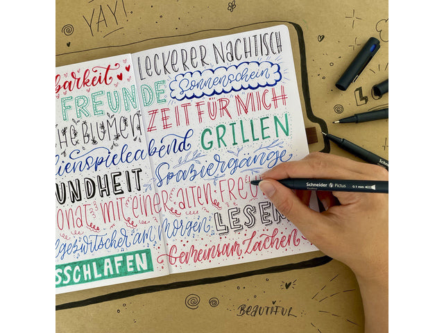 Fineliner Schneider Pictus 0,05 schwarz