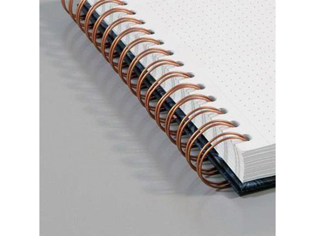 Notizbuch Jolie Mystic A4. Mit extra vielen Seiten